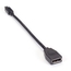 VA-MDP12-DP12: Videoadapter, Mini DisplayPort 1.2 zu DisplayPort 1.2, M/F, 20.3 cm